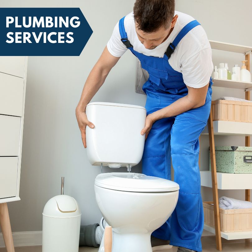 Plumbing Company in Princess Anne, MD